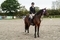 Golden Cross Equestrian Centre host the next round of Equiyd National Amateur Championship Second Round Qualifiers